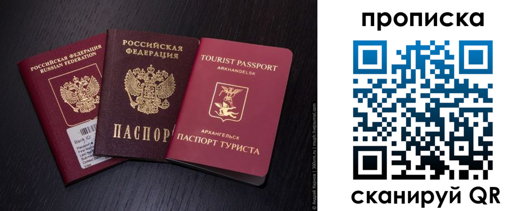 временная регистрация надежно в Сафоново
